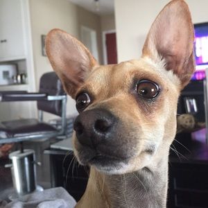 Meet your Posher, Nathan